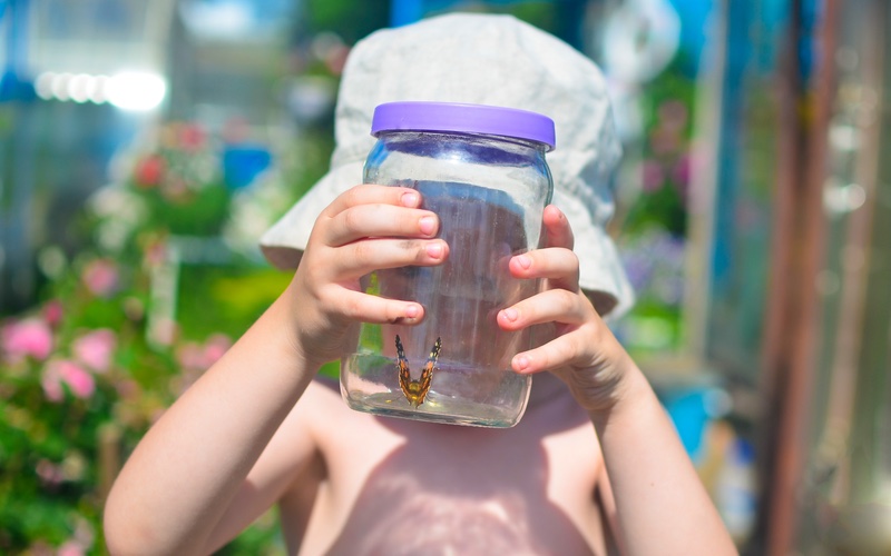 A child holding a butterfly in a jar, exploring the outdoors - Romp n' Roll in Willow Grove, PA.