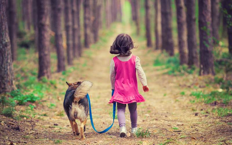 Romp n' Roll in your area offers tips on keeping your kids healthy through dog walking.